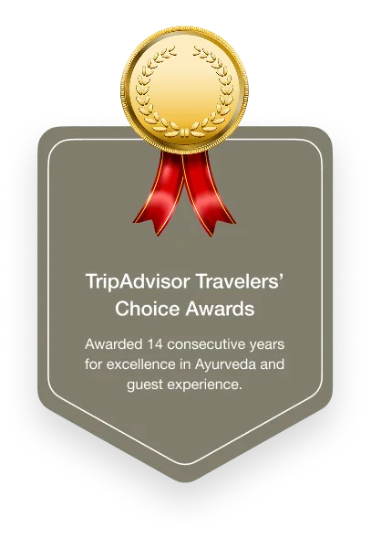 Personalised Ayurvedic consultation icon