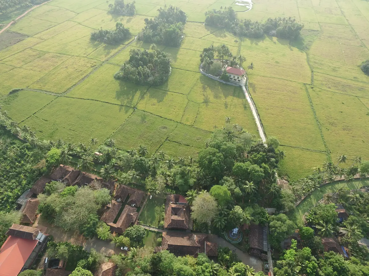 Aerial view of Athreya Ayurvedic Centre among paddy fields, Kottayam, Kerala